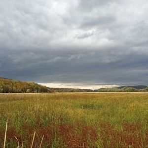 Meet your Posher, Scott